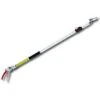 ARS Long Reach Telescopic Pruner