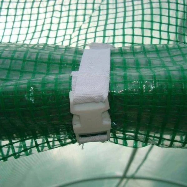 Birchtree Greenhouse 2.5x2m Stainless Steel 6 Birchtree Greenhouse 2.5x2m Stainless Steel - Image 4