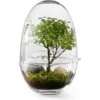 Design House Stockholm Grow Mini Greenhouse S -Gardena Store Design House Stockholm Grow Mini Greenhouse S