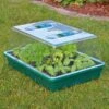 HI Greenhouse 38x24.5x18 Garden Plant -Gardena Store HI Greenhouse 38x24.5x18 Garden Plant