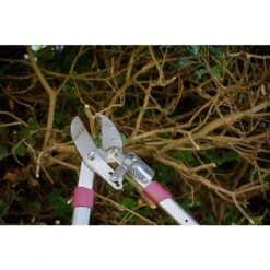 Kent & Stowe Telescopic Ratchet Anvil 70100472 7 Kent & Stowe Telescopic Ratchet Anvil 70100472 -Gardena Store Kent Stowe Telescopic Ratchet Anvil 70100472 2