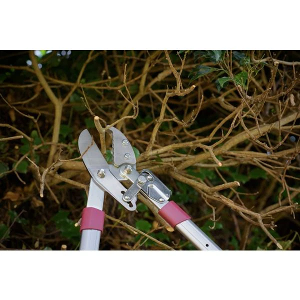 Kent & Stowe Telescopic Ratchet Anvil 70100472 5 Kent & Stowe Telescopic Ratchet Anvil 70100472 - Image 3