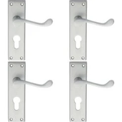 Loops Pair Victorian Scroll Handle On Euro Lock