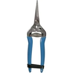 RHS British Meadow Flower