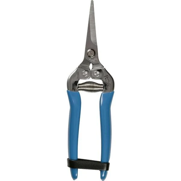 RHS British Meadow Flower 3 RHS British Meadow Flower