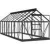VidaXL Greenhouse 155x395.5x191 Cm Aluminum Glass -Gardena Store vidaXL Greenhouse 155x395.5x191 cm Aluminum Glass